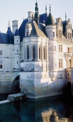 Das Château de Chenonceau Wallpaper 240x400