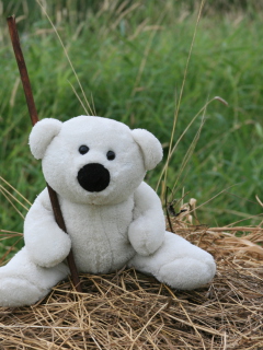 Sfondi White Teddy Bear 240x320