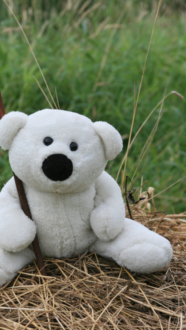 Fondo de pantalla White Teddy Bear 640x1136