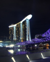 Helix Bridge in Singapore wallpaper 176x220