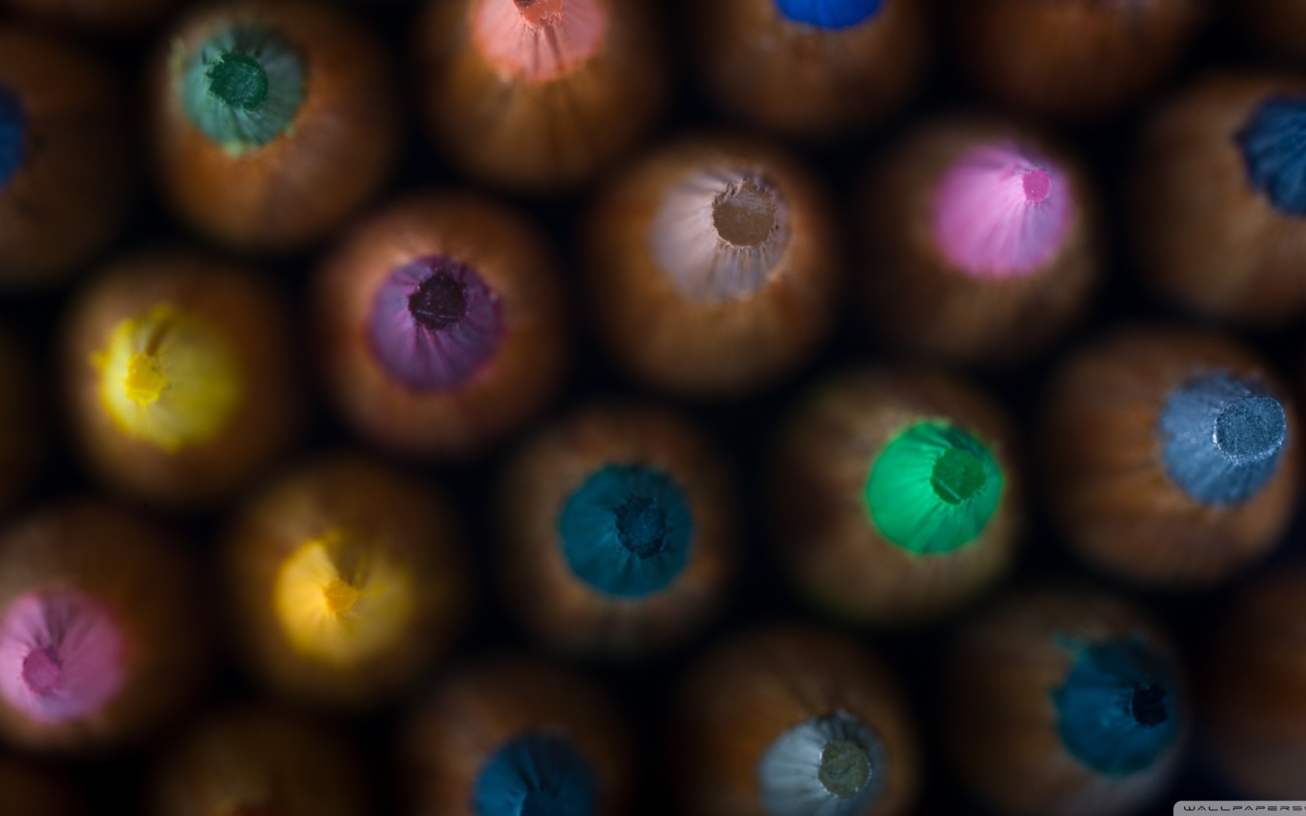 Colored Pencils wallpaper 2560x1600