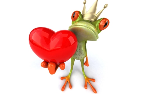 Das Frog Love Wallpaper 480x320