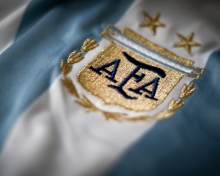Обои Football Argentina 220x176