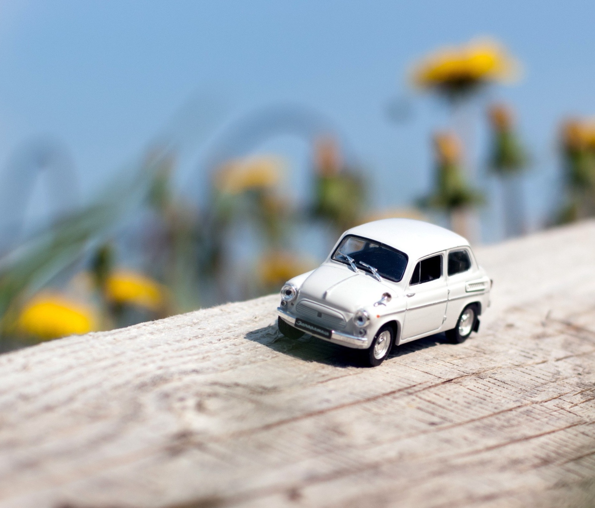 Miniature Toy Car wallpaper 1200x1024
