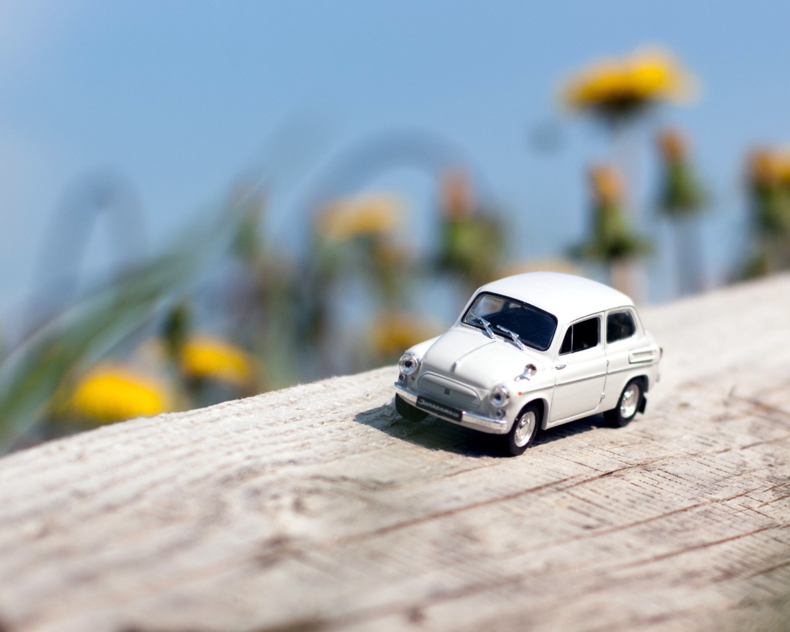 Fondo de pantalla Miniature Toy Car 1600x1280