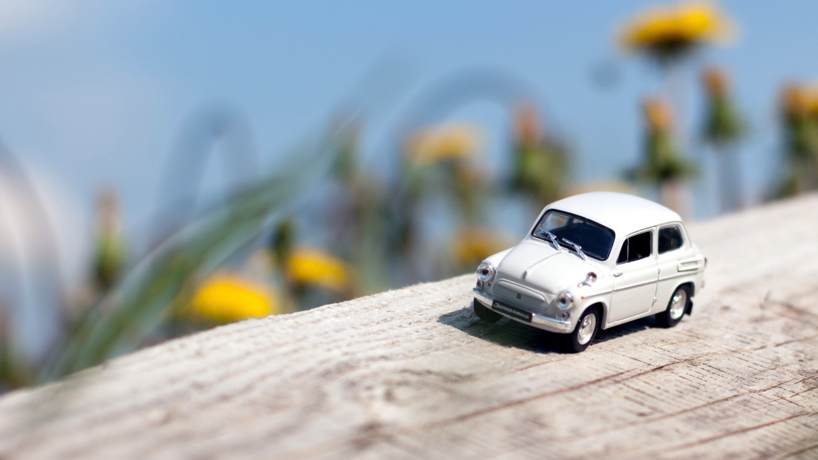 Fondo de pantalla Miniature Toy Car 1600x900