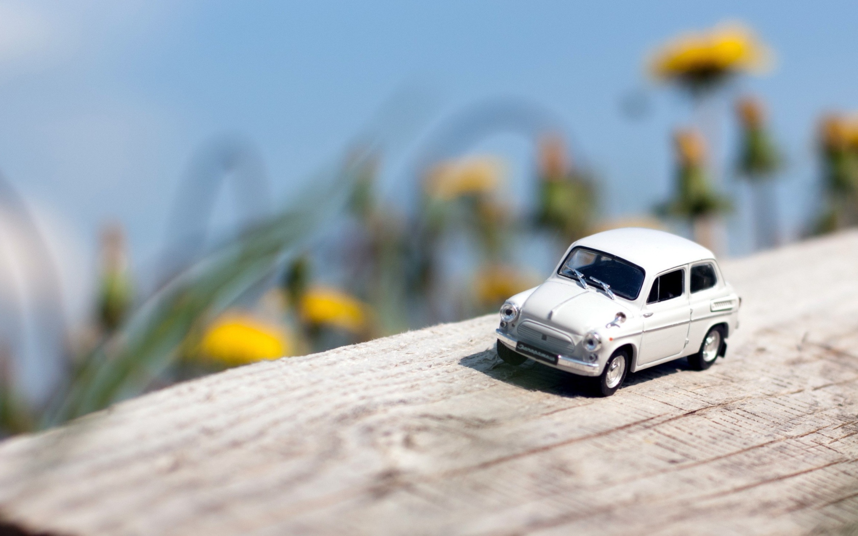 Das Miniature Toy Car Wallpaper 1680x1050