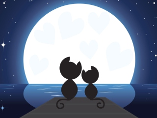 Das Cats In Love Wallpaper 320x240