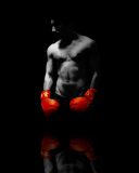 Fondo de pantalla Boxer 128x160