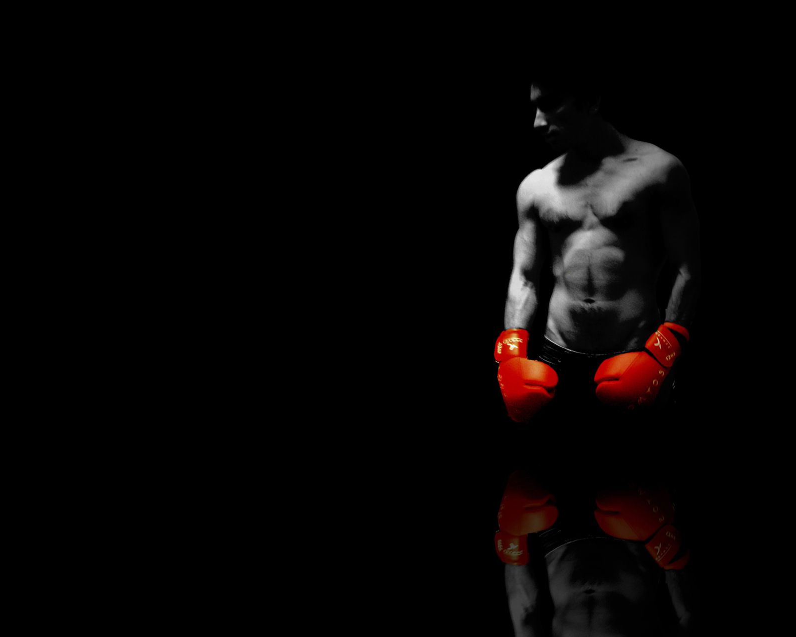 Boxer wallpaper 1600x1280