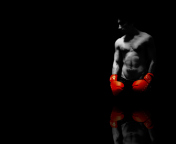 Das Boxer Wallpaper 176x144