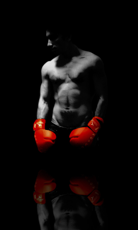 Boxer wallpaper 480x800