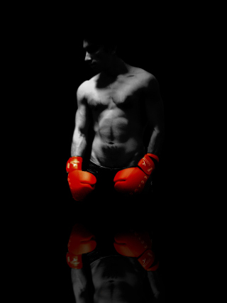 Boxer - Obrázkek zdarma pro iPhone 6 Plus
