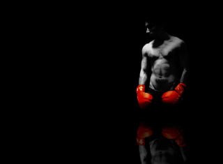 Boxer - Obrázkek zdarma pro HTC Desire HD