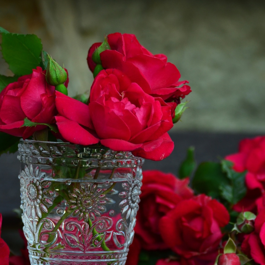 Red roses in a retro vase wallpaper 1024x1024