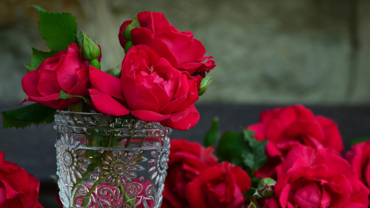 Red roses in a retro vase wallpaper 1280x720