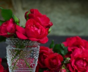 Red roses in a retro vase screenshot #1 176x144