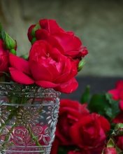 Red roses in a retro vase wallpaper 176x220