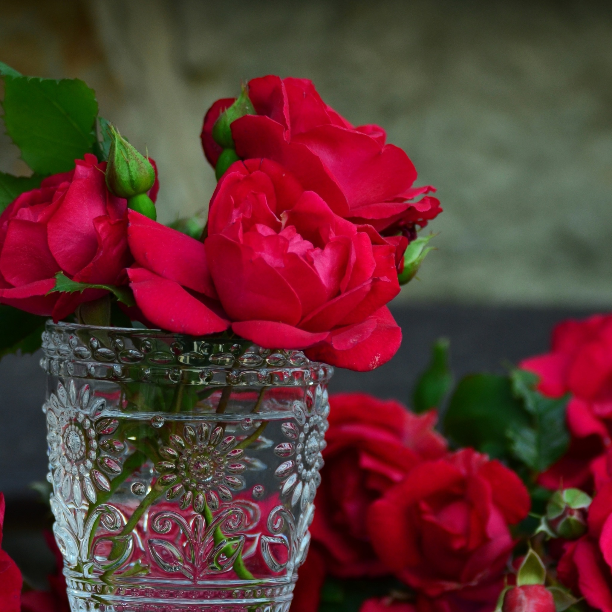 Обои Red roses in a retro vase 2048x2048