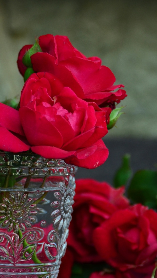 Red roses in a retro vase wallpaper 640x1136