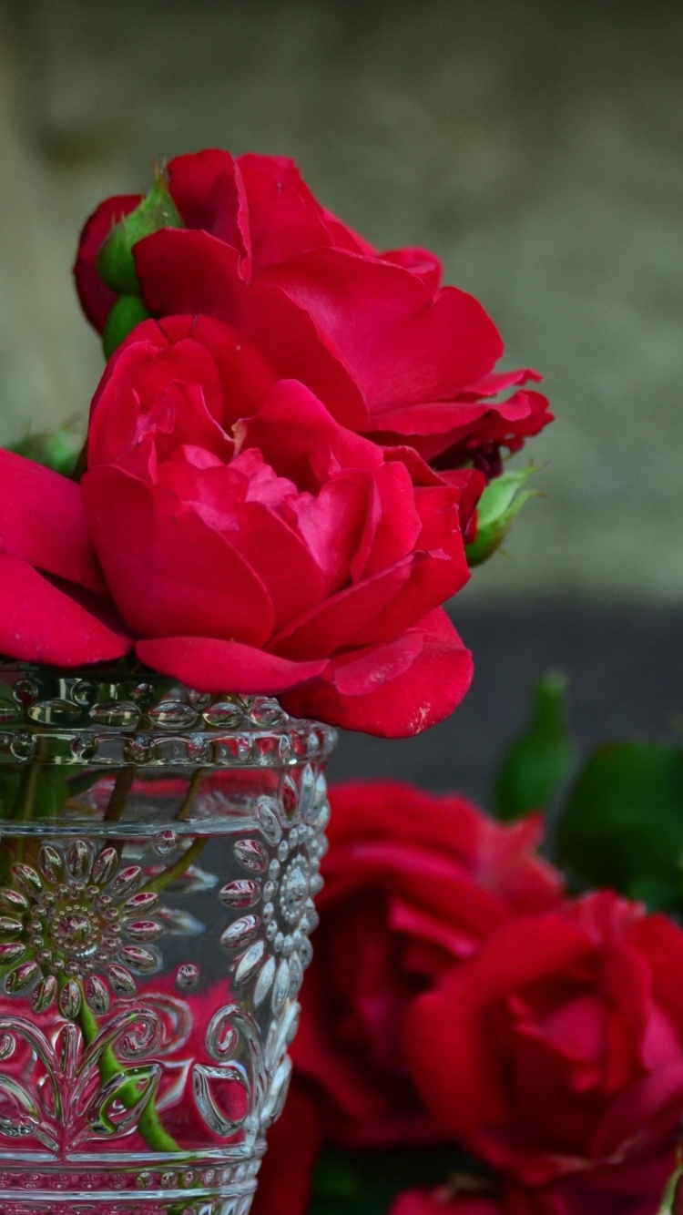 Red roses in a retro vase wallpaper 750x1334