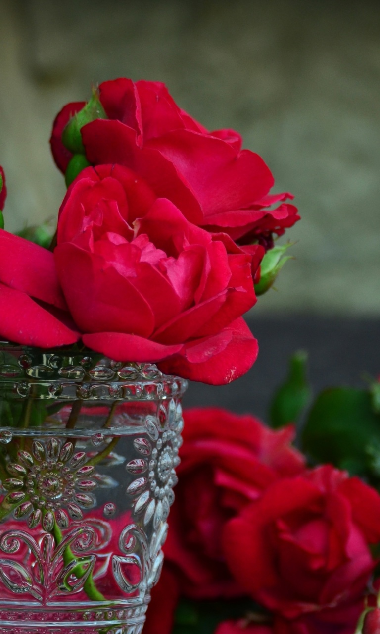 Das Red roses in a retro vase Wallpaper 768x1280