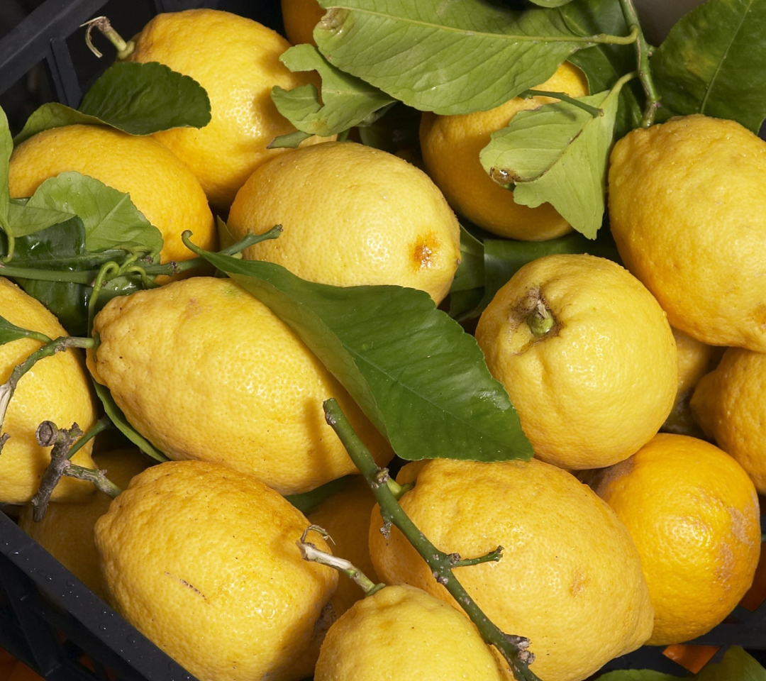 Das Fresh Lemons Wallpaper 1080x960