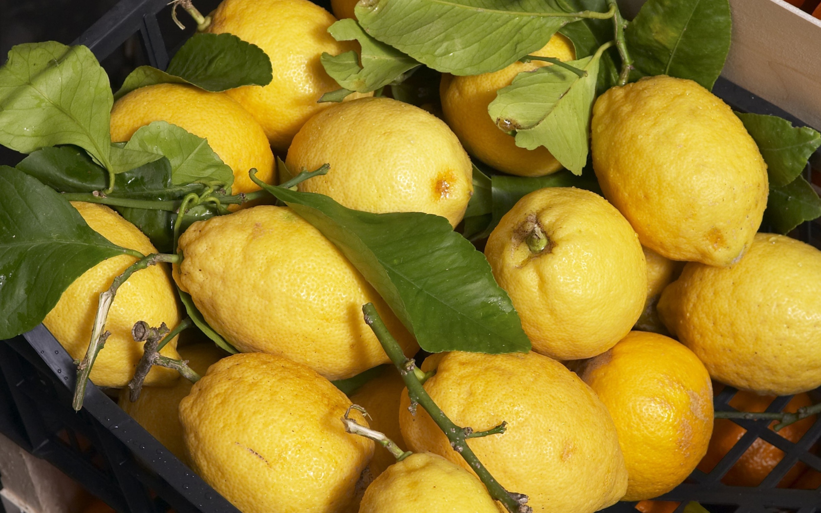 Fondo de pantalla Fresh Lemons 1680x1050
