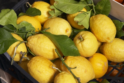 Sfondi Fresh Lemons 480x320
