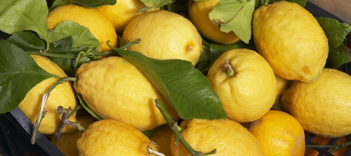 Fresh Lemons wallpaper 720x320