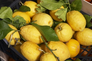 Fresh Lemons - Obrázkek zdarma pro 1152x864