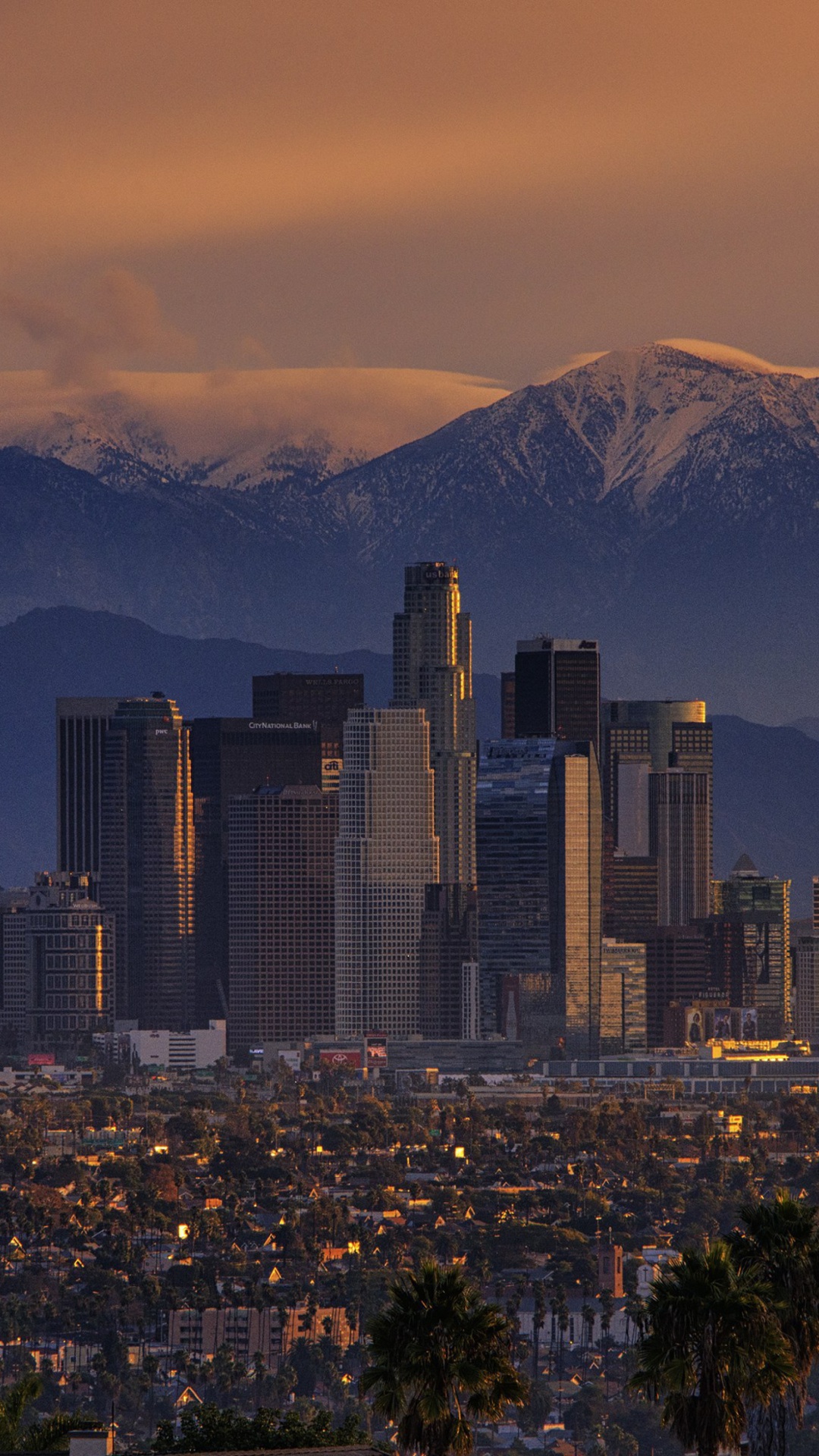 Los Angeles, California Panorama wallpaper 1080x1920