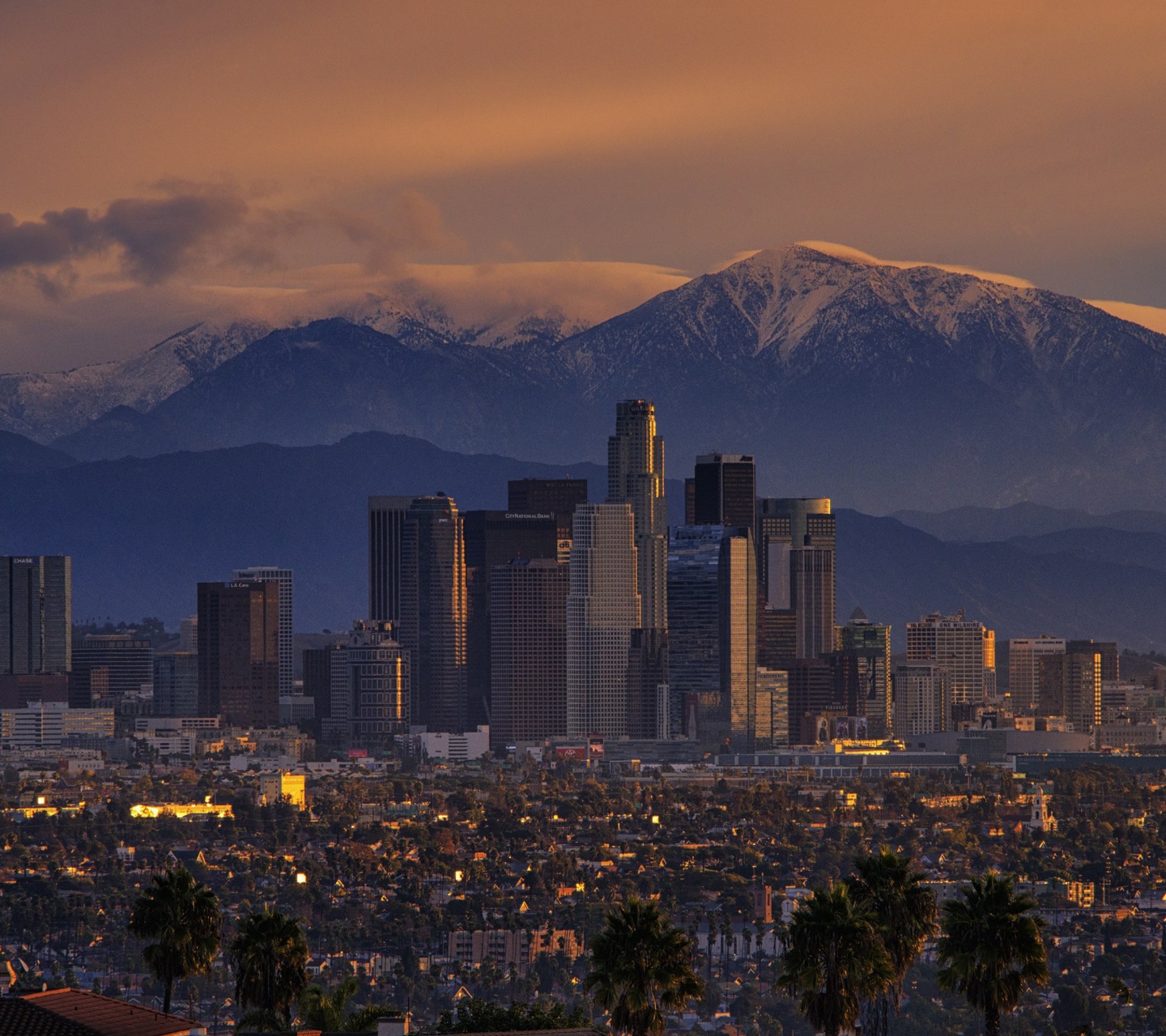 Sfondi Los Angeles, California Panorama 1440x1280