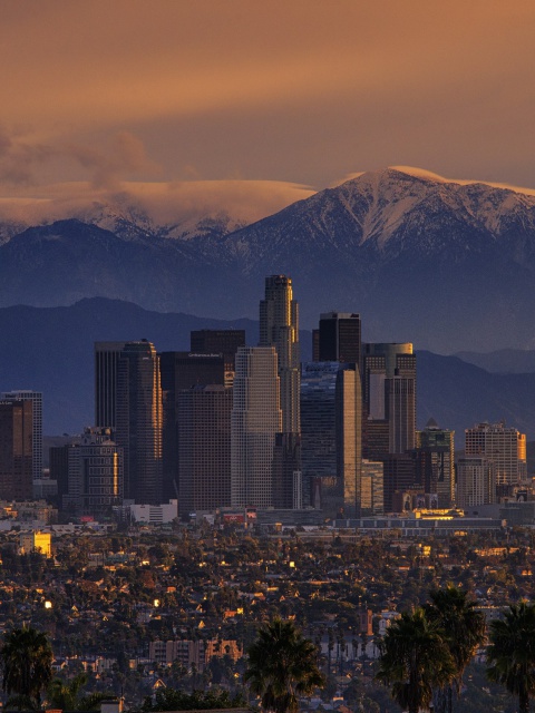 Sfondi Los Angeles, California Panorama 480x640