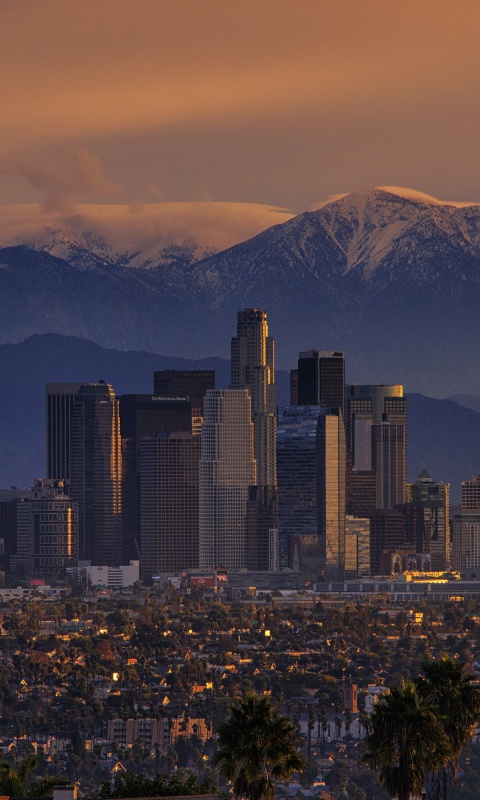 Обои Los Angeles, California Panorama 480x800