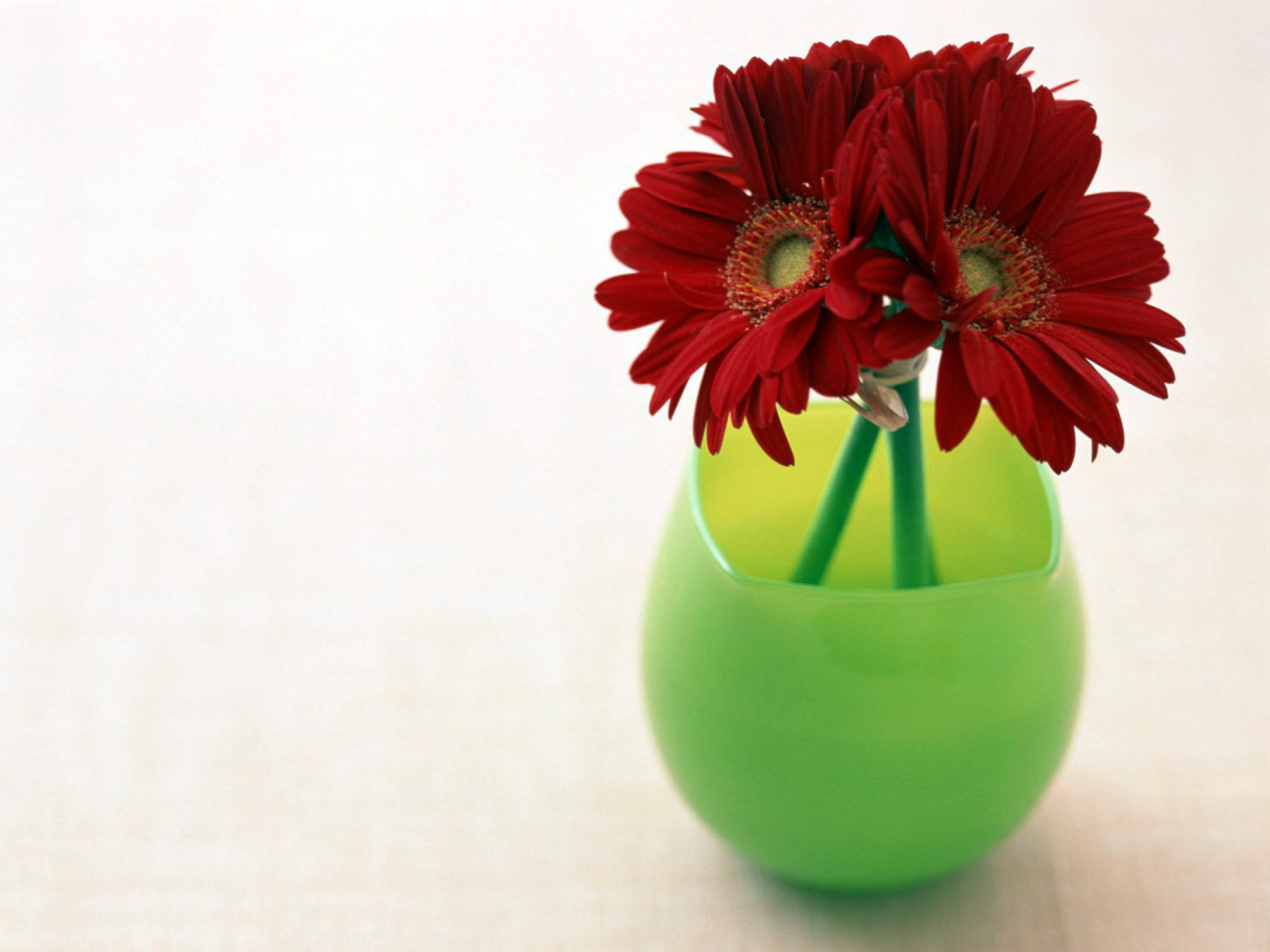 Обои Gerbera In Vase 1600x1200