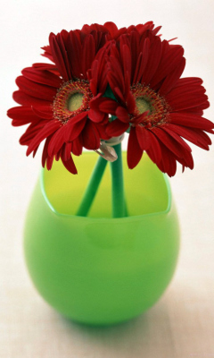 Gerbera In Vase screenshot #1 240x400