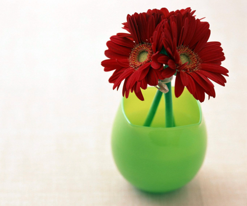 Das Gerbera In Vase Wallpaper 960x800