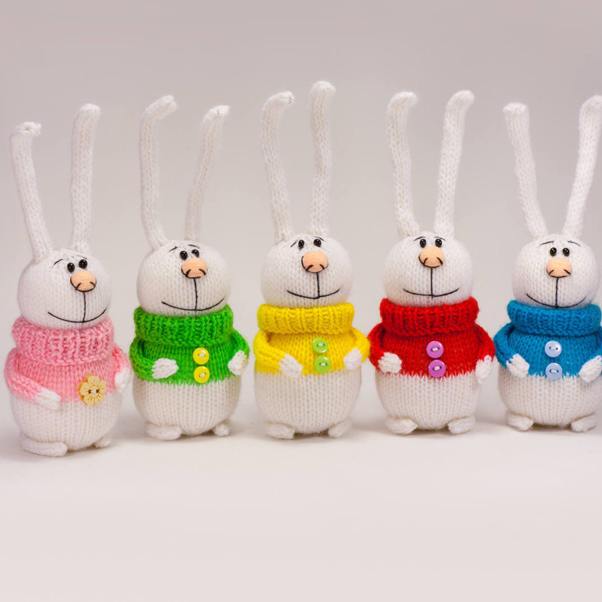 Sfondi Knitted Bunnies In Colorful Sweaters 2048x2048