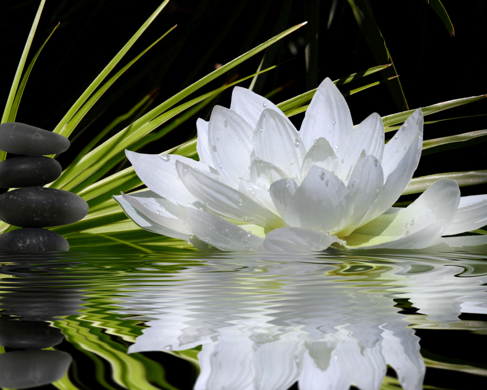 Lotus and Spa Stones wallpaper 1600x1280