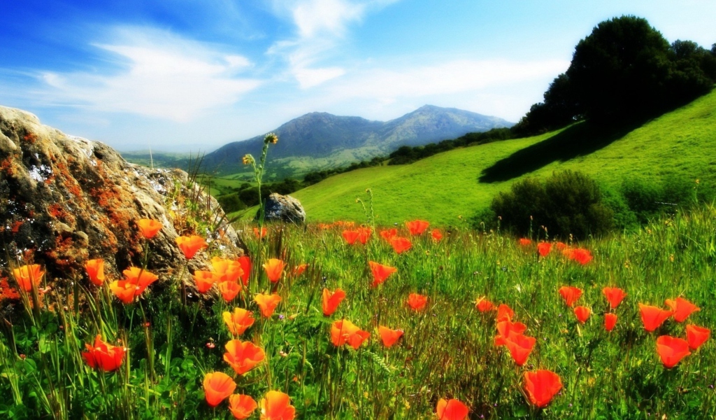 Mountainscape And Poppies wallpaper 1024x600