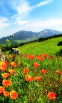 Das Mountainscape And Poppies Wallpaper 240x400