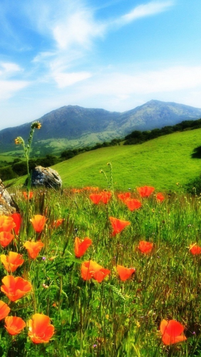 Mountainscape And Poppies screenshot #1 640x1136