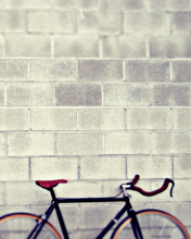 Bicycle wallpaper 176x220