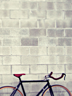 Bicycle wallpaper 240x320