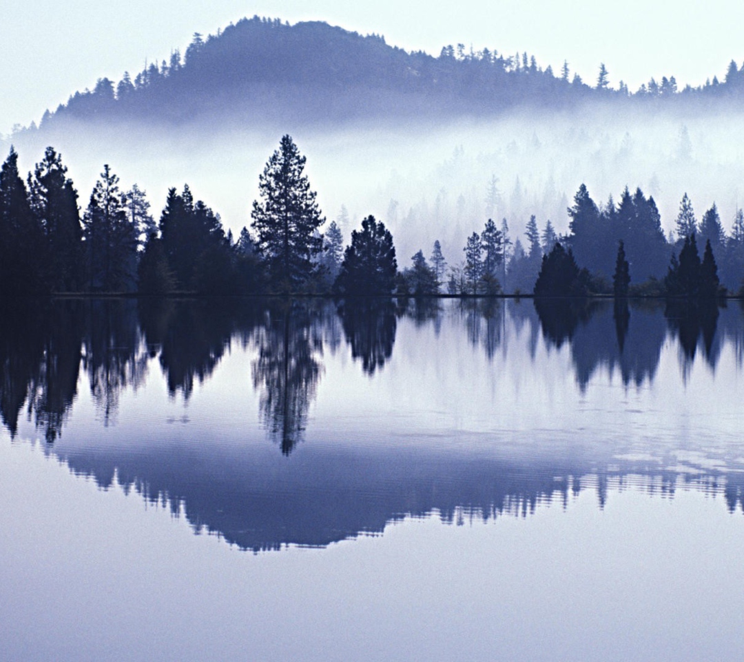 Misty Landscape screenshot #1 1080x960