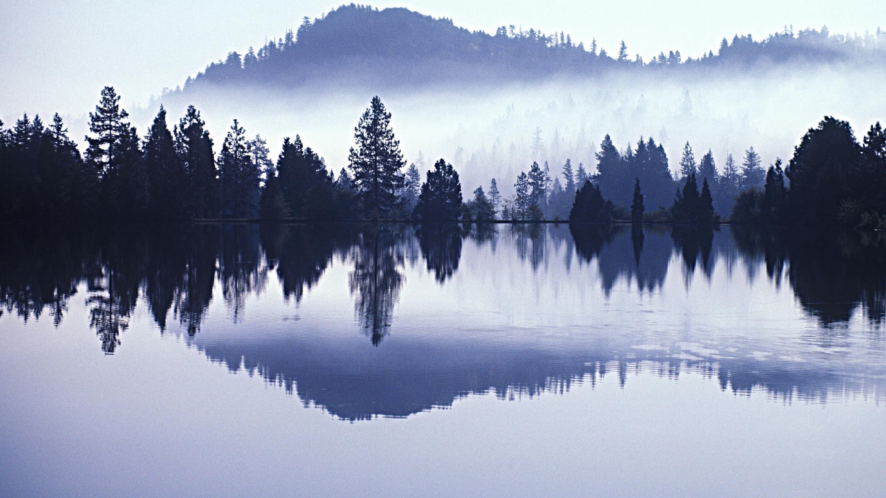 Misty Landscape wallpaper 1280x720