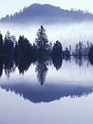 Misty Landscape screenshot #1 132x176