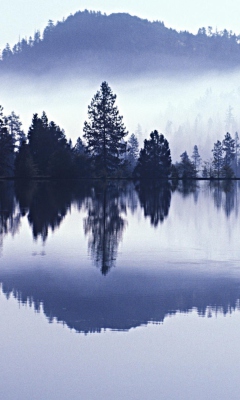 Das Misty Landscape Wallpaper 240x400