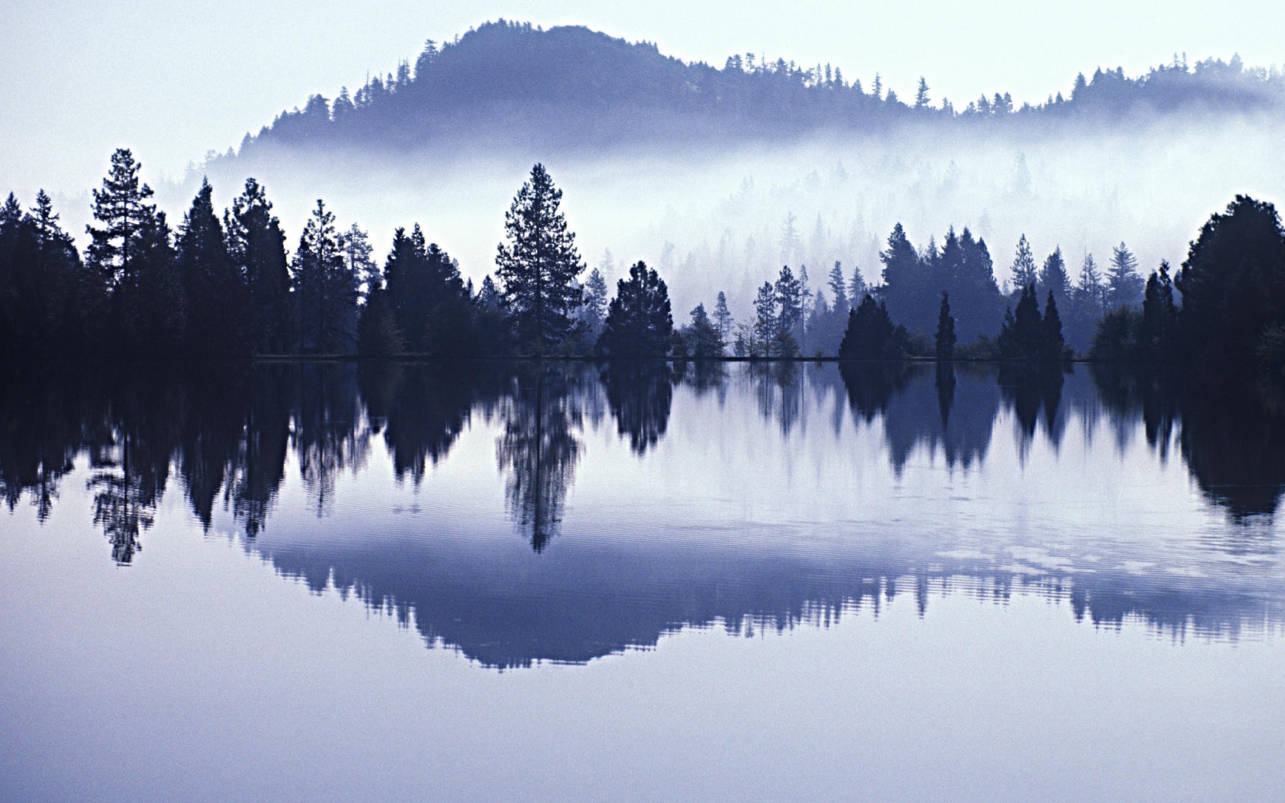 Fondo de pantalla Misty Landscape 2560x1600